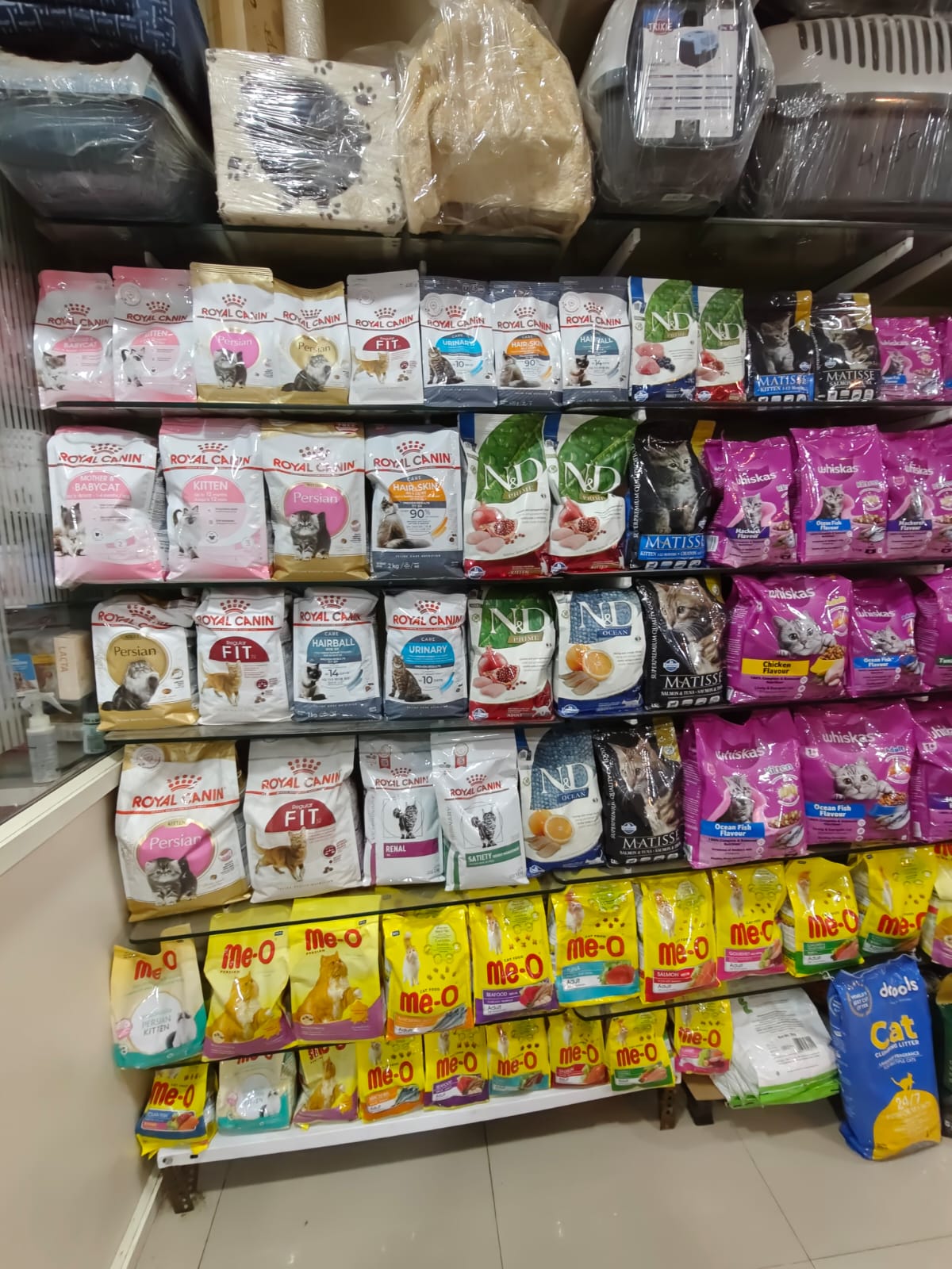 Sarvadnya Pet Care Unit veterinary clinic, Pune
